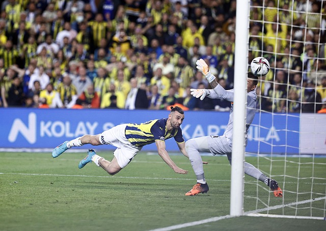 数据支持 数据支持