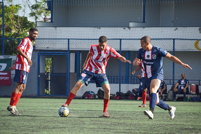 种常见的贸 种常见的贸