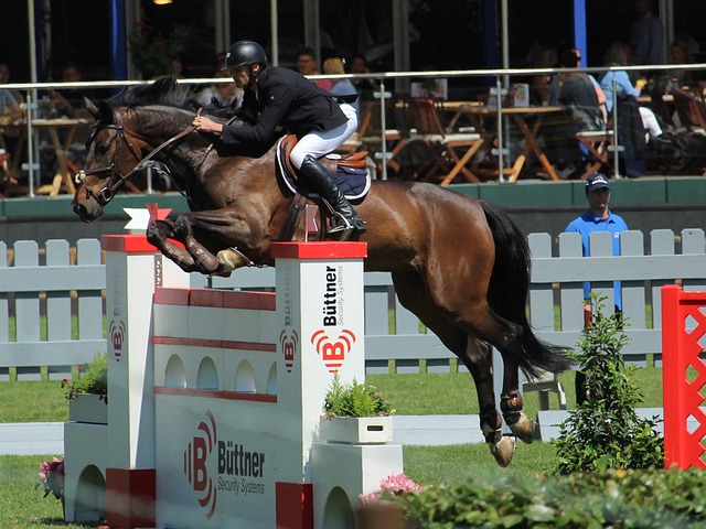 津津乐道 津津乐道